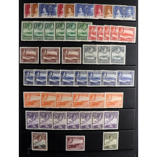 82 - COMMONWEALTH 1855-1960's MINT COLLECTION with the strength in KEVII to KGVI issues on stock pages, i... 