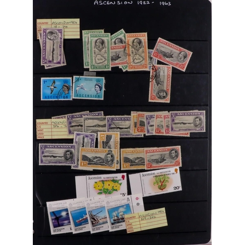 88 - LARGE COLLECTOR'S ESTATE IN 21 CARTONS World all periods mint (some never hinged) & used stamps in 2... 