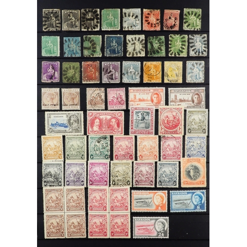 91 - COMMONWEALTH COLLECTION 19th Century to 1980's mint & used stamps in ten stockbook, includes Austral... 