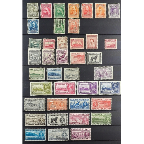 91 - COMMONWEALTH COLLECTION 19th Century to 1980's mint & used stamps in ten stockbook, includes Austral... 