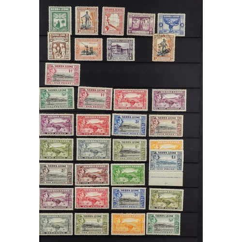 91 - COMMONWEALTH COLLECTION 19th Century to 1980's mint & used stamps in ten stockbook, includes Austral... 