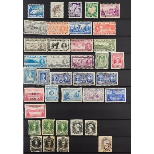 91 - COMMONWEALTH COLLECTION 19th Century to 1980's mint & used stamps in ten stockbook, includes Austral... 