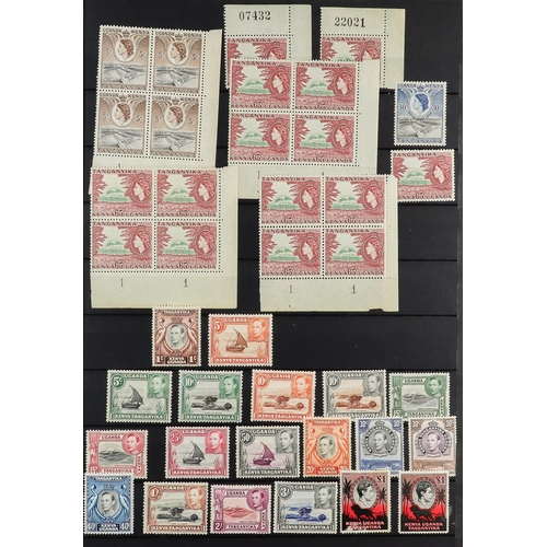 91 - COMMONWEALTH COLLECTION 19th Century to 1980's mint & used stamps in ten stockbook, includes Austral... 