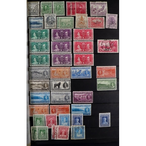 113 - COLLECTOR'S ESTATE IN 8 CARTONS World mint (some never hinged) & used stamps in over sixty albums & ... 