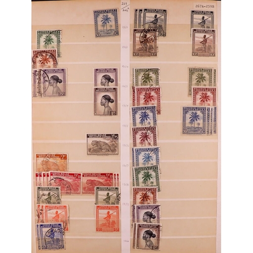 113 - COLLECTOR'S ESTATE IN 8 CARTONS World mint (some never hinged) & used stamps in over sixty albums & ... 