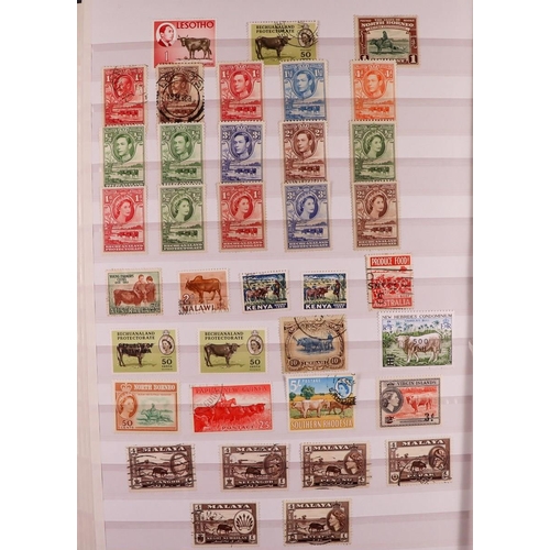 113 - COLLECTOR'S ESTATE IN 8 CARTONS World mint (some never hinged) & used stamps in over sixty albums & ... 