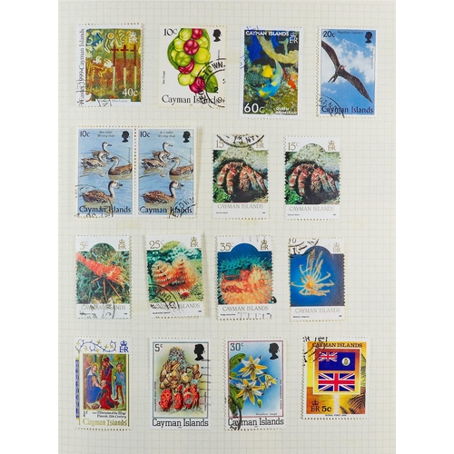 143 - WORLD COLLECTION 1840-1990's mint & used stamps in over thirty albums & binders, includes Argentina ... 