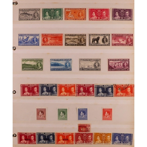 223 - COMMONWEALTH Late 19th Century to 1980's mint & used ranges in eight stockbooks & albums, includes o... 