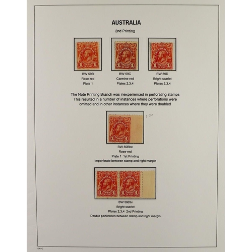 322 - AUSTRALIA 1913-14 ENGRAVED ISSUE a fine mint study collection displayed and annotated to a high stan... 