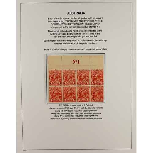 322 - AUSTRALIA 1913-14 ENGRAVED ISSUE a fine mint study collection displayed and annotated to a high stan... 