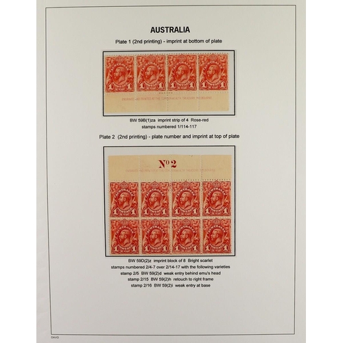 322 - AUSTRALIA 1913-14 ENGRAVED ISSUE a fine mint study collection displayed and annotated to a high stan... 