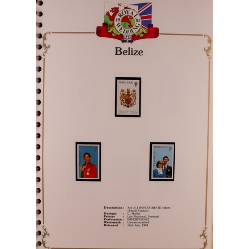 4 - 1981 ROYAL WEDDING Prince Charles & Lady Diana Spencer Wedding hinged mint collection in eight speci... 