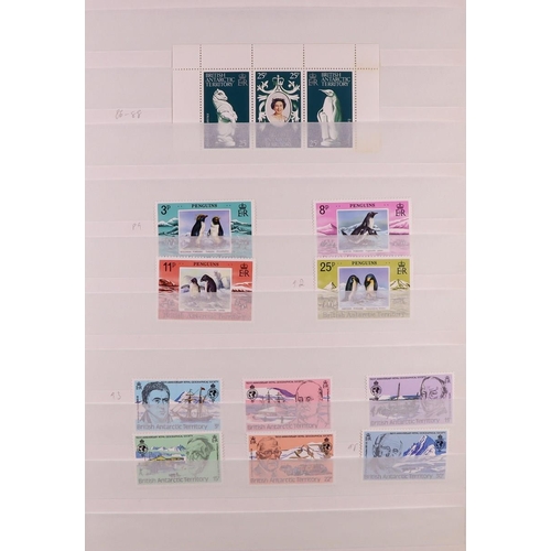 480 - BR. ANTARCTIC TERR. 1963-2018 COMPREHENSIVE NEVER HINGED MINT COLLECTION on stock pages, all differe... 