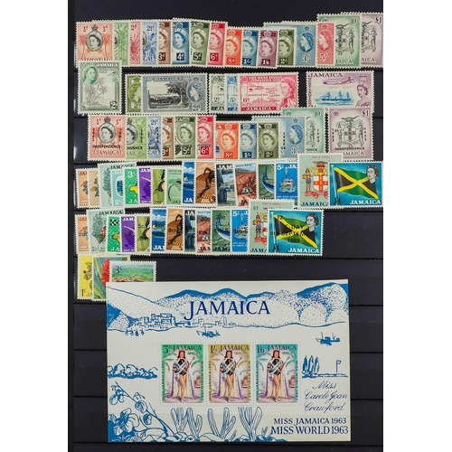 59 - COMMONWEALTH MINT COLLECTION. An outstanding collection of mint stamps in a stock album. Chiefly lat... 