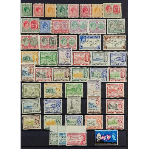 59 - COMMONWEALTH MINT COLLECTION. An outstanding collection of mint stamps in a stock album. Chiefly lat... 