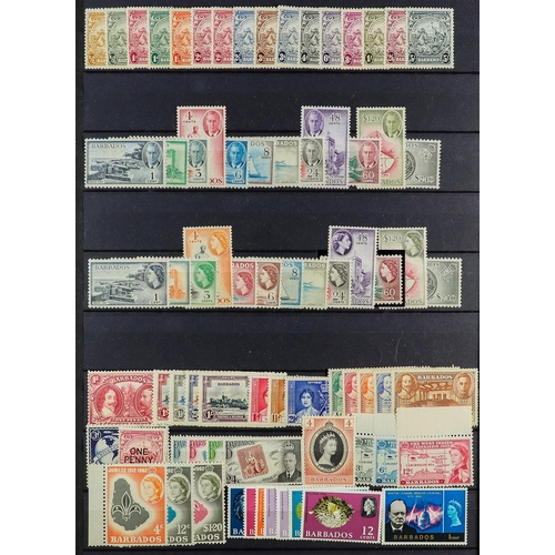 59 - COMMONWEALTH MINT COLLECTION. An outstanding collection of mint stamps in a stock album. Chiefly lat... 