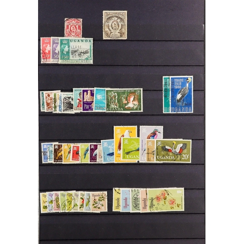 91 - COMMONWEALTH USED COLLECTION in 3 stock books, interestinmg ranges includes sets and higher values, ... 