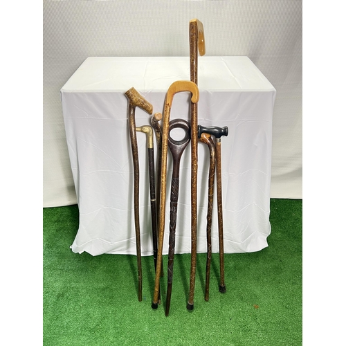 58 - Assorted Walking Sticks