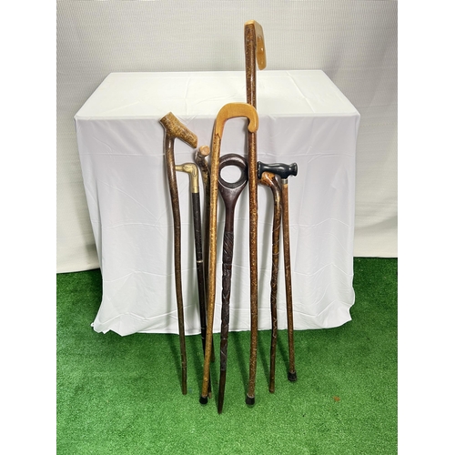 58 - Assorted Walking Sticks