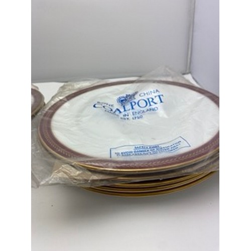 93 - Coalport dinner plates red wheat10 x Dinner plates6 x Side plates