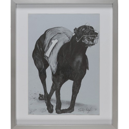 126 - Framed Image of Racing Greyhound. Signed by artist in bottom right hand corner in 2021 - please see ... 