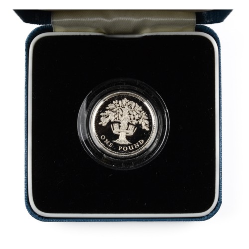 12 - Elizabeth II Silver Proof One Pound Coin. 1987. (S4333) FDC.