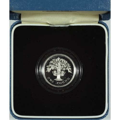 95 - Elizabeth II Silver Proof One Pound Coin. 1992. FDC. Boxed with COA.