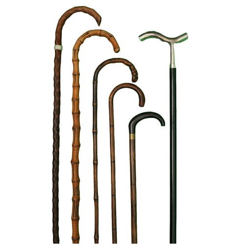 76 - Collection of 6 Ladies and Gentlemen's Walking Sticks. Approx 80cm - 93cm in height.