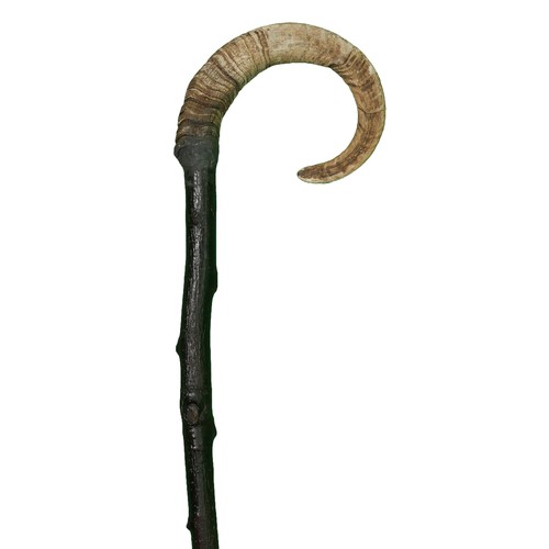 82 - Ram's Horn Walking Stick. Approx. 105cm high.