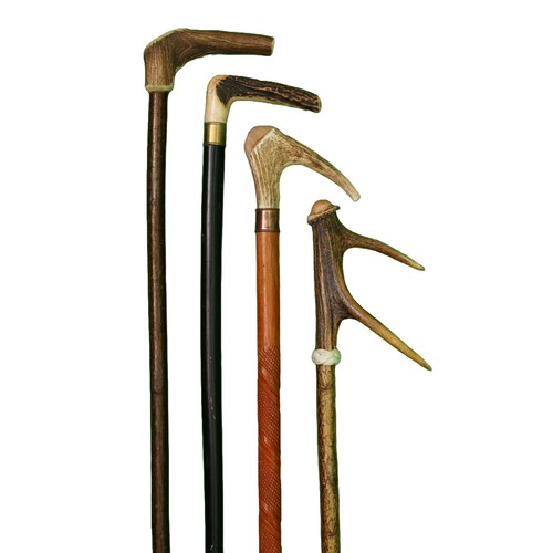 86 - Collection of 4 Stag Horn Walking Sticks.
Measurements are:
1 x 117cm
1 x 105cm 
1 x 80cm
1 x 86cm