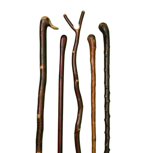 92 - Rustic Walking Stick Lot of 5. Includes 2 x root ball, 1 x Y-shaped and 1 with carved duck's head.