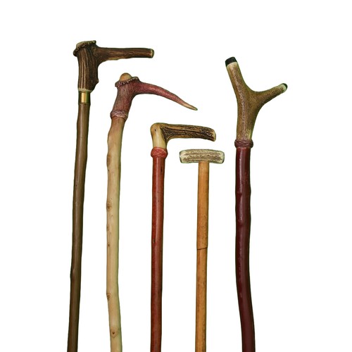 110 - Collection of 5 Stag Horn Walking Sticks including 1 x Y-shaped and 1 x T-handle.
Measurements are:
... 