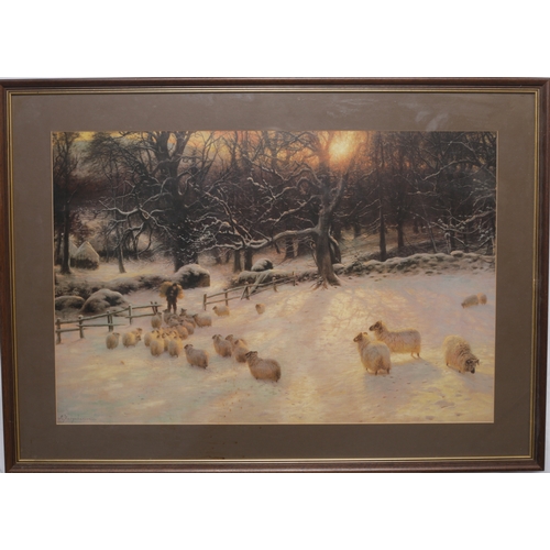 Lot 56        