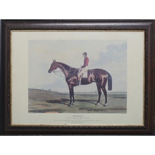 Lot 16        