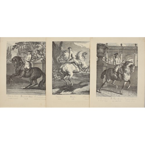 Lot 24        