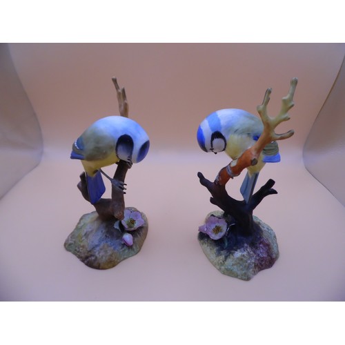 50 - Pair of Royal Crown Derby Porcelain 'Blue Tits' Marked on the bottom. Beautiful figurines. one bird ... 
