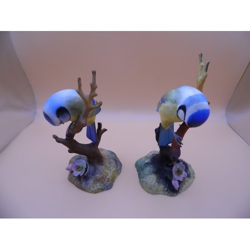 50 - Pair of Royal Crown Derby Porcelain 'Blue Tits' Marked on the bottom. Beautiful figurines. one bird ... 