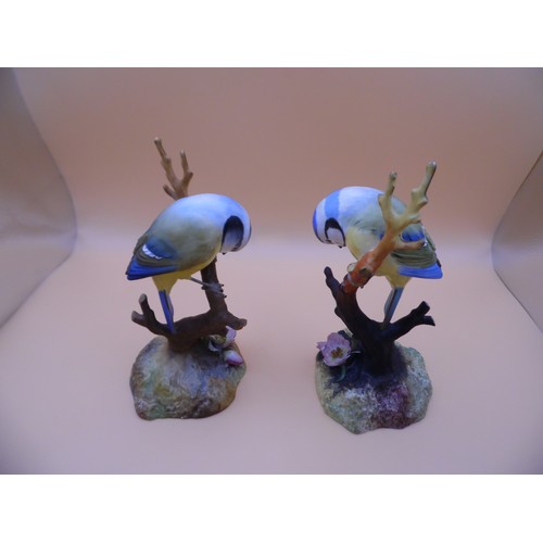 50 - Pair of Royal Crown Derby Porcelain 'Blue Tits' Marked on the bottom. Beautiful figurines. one bird ... 