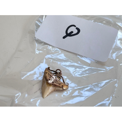16 - Sharks tooth in a 9 Carat gold mount, stamped to shoulder