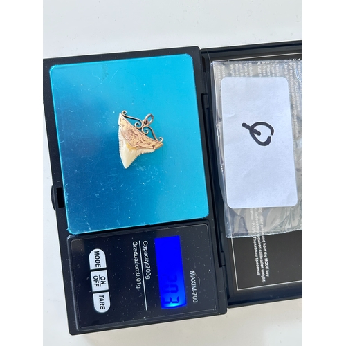 16 - Sharks tooth in a 9 Carat gold mount, stamped to shoulder