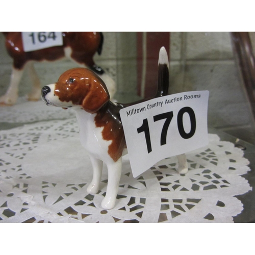 Lot 170       