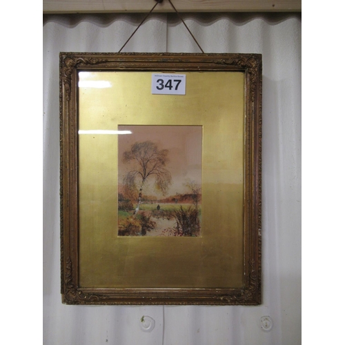 Lot 347       