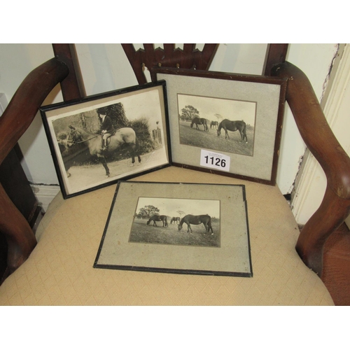 1126 - 3 Framed Equestrian Pictures