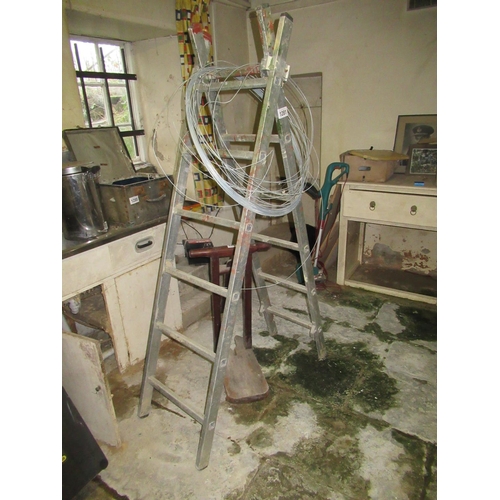 1281 - Extenson Ladder 9' - Converts to Step Ladder