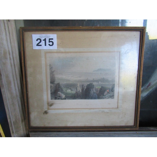 Lot 215       