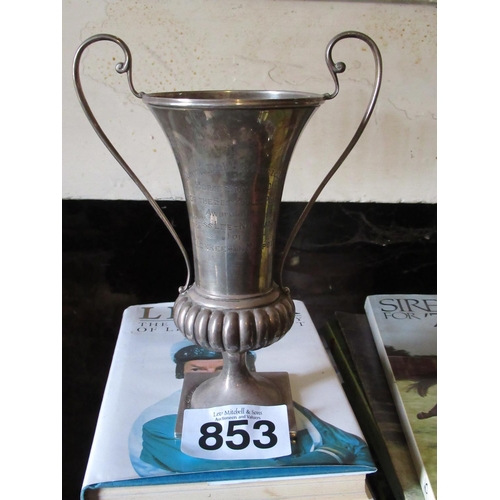 853 - Royal Dublin Society Best in Show Silver Cup - 1960 - 9