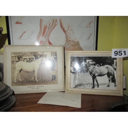 951 - Framed Pictures of Show Horses