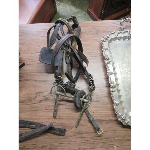 527 - Horses Show Harness.