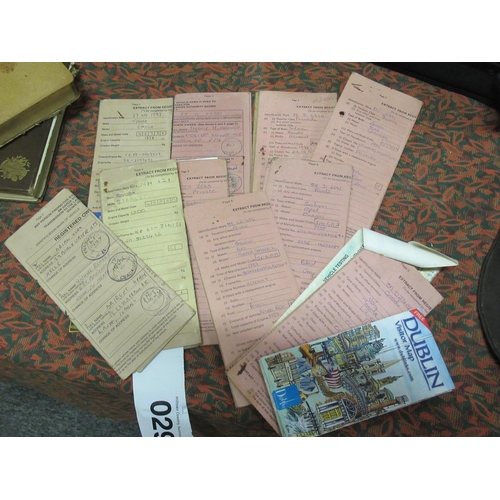 Lot 29        