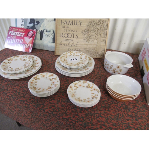313 - 28 pieces of Royal Doulton delph.